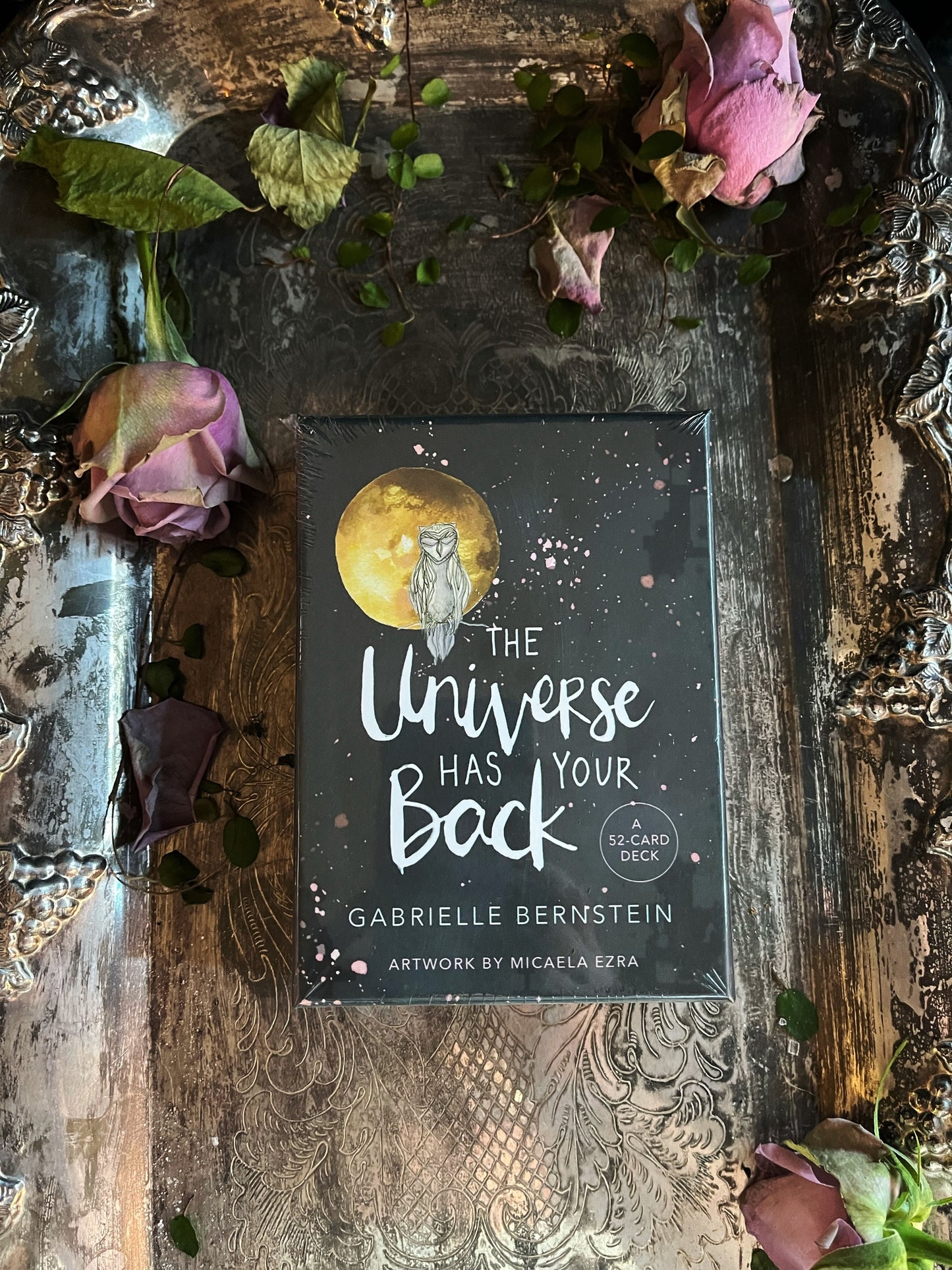 The Universe has your back - Orakelkort