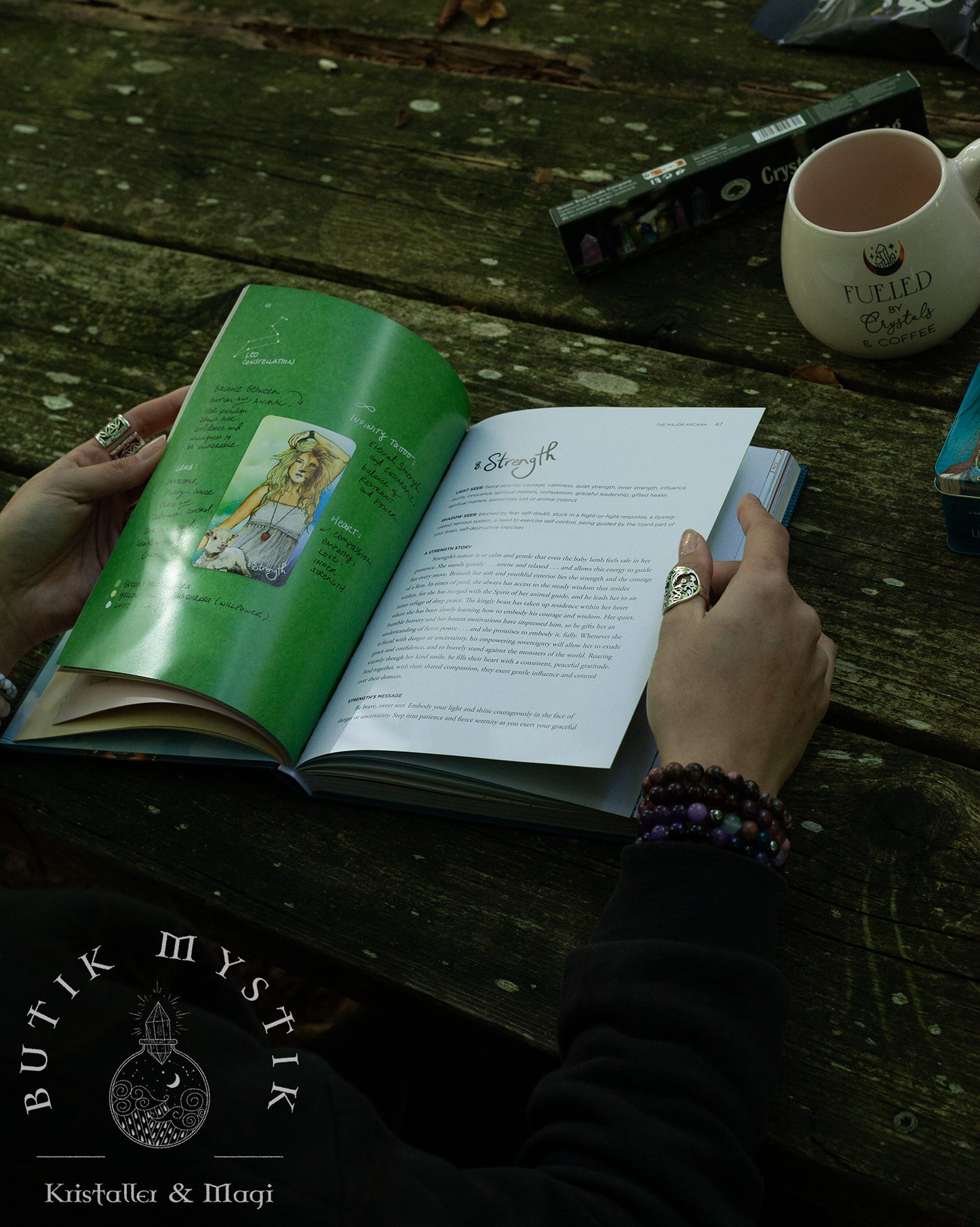 Tarot for Light Seers - tarotbok av Chris-Anne
