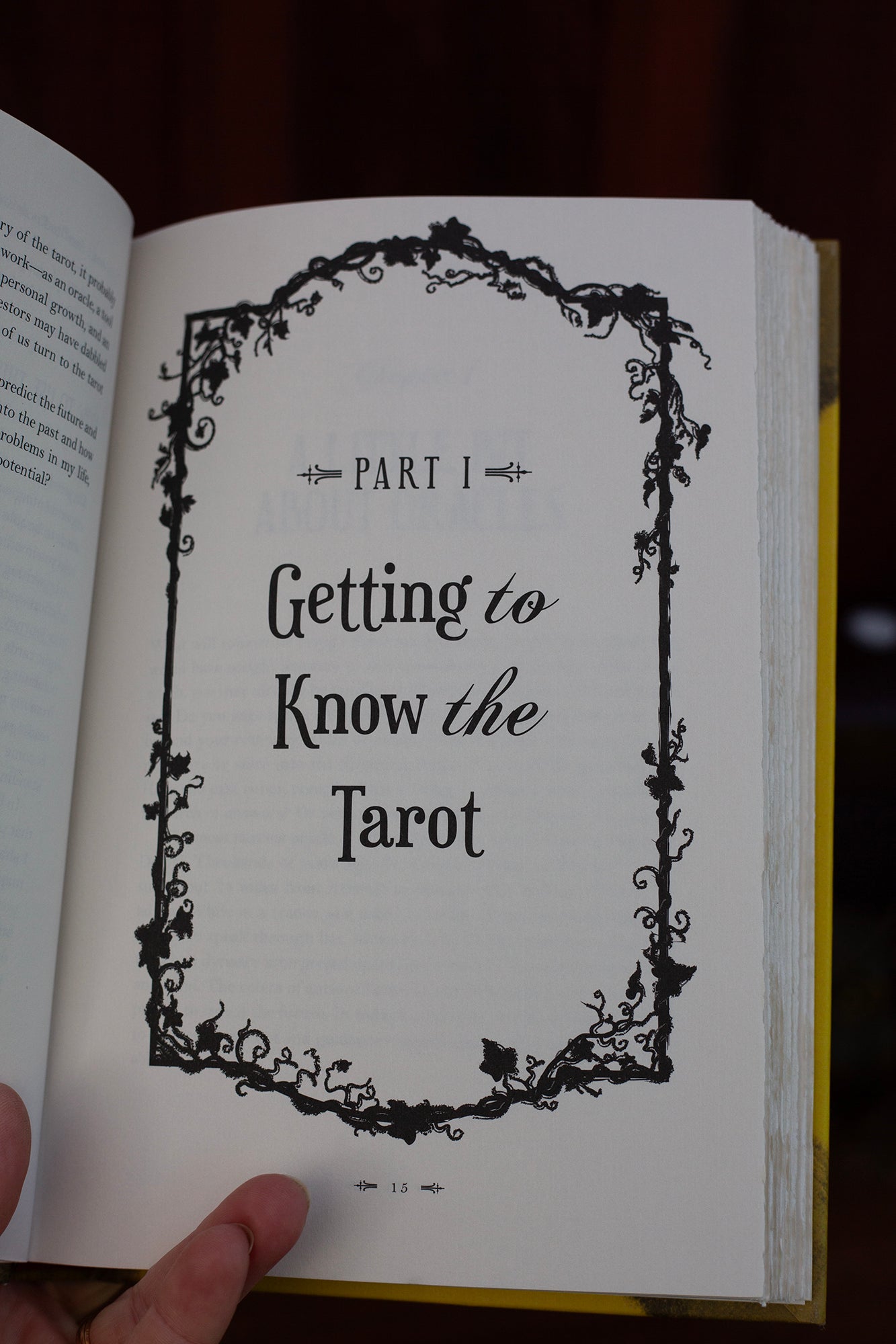 Modern Witchcraft Tarot - Skye Alexander