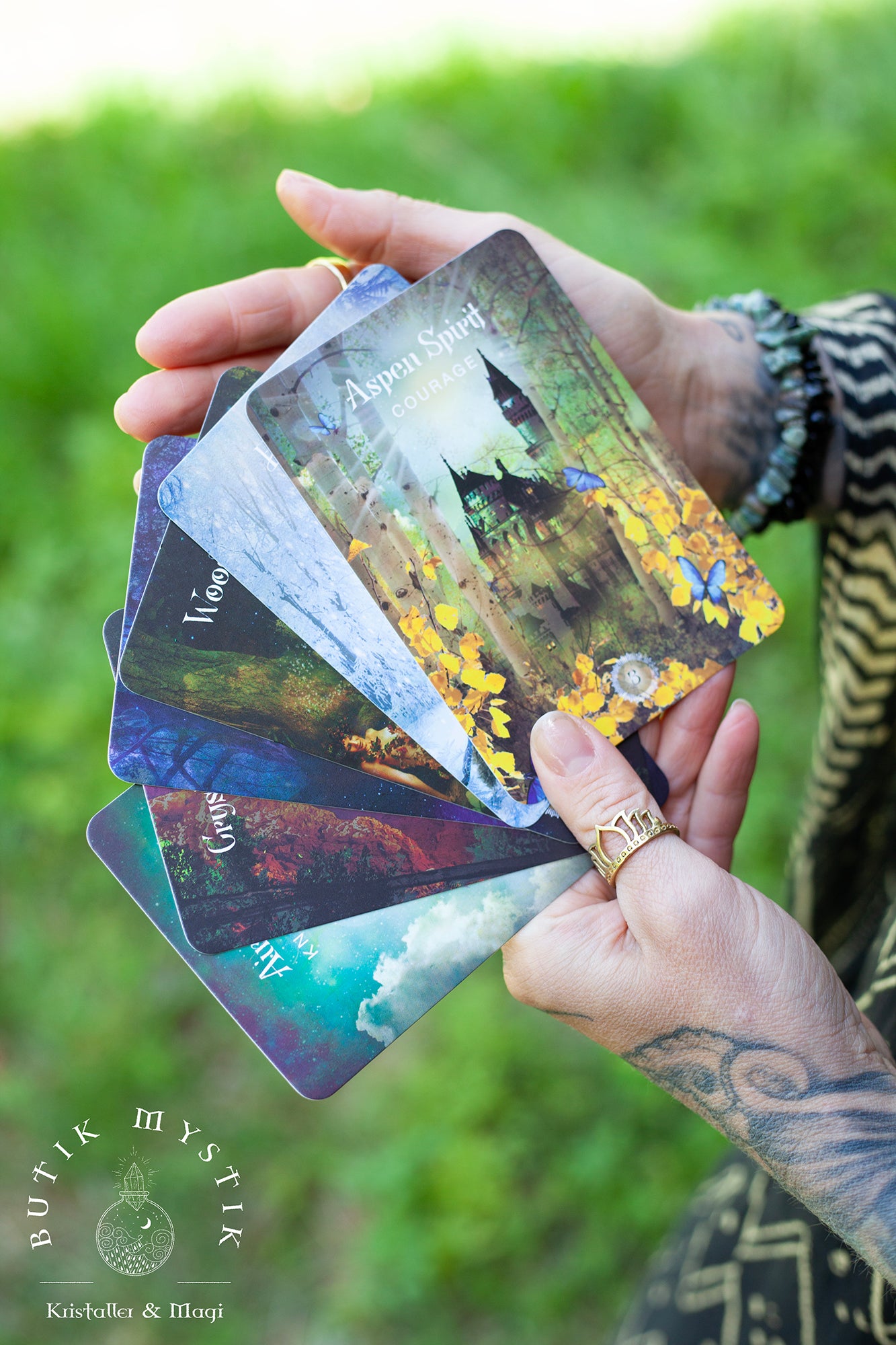 The Sacred forest oracle cards