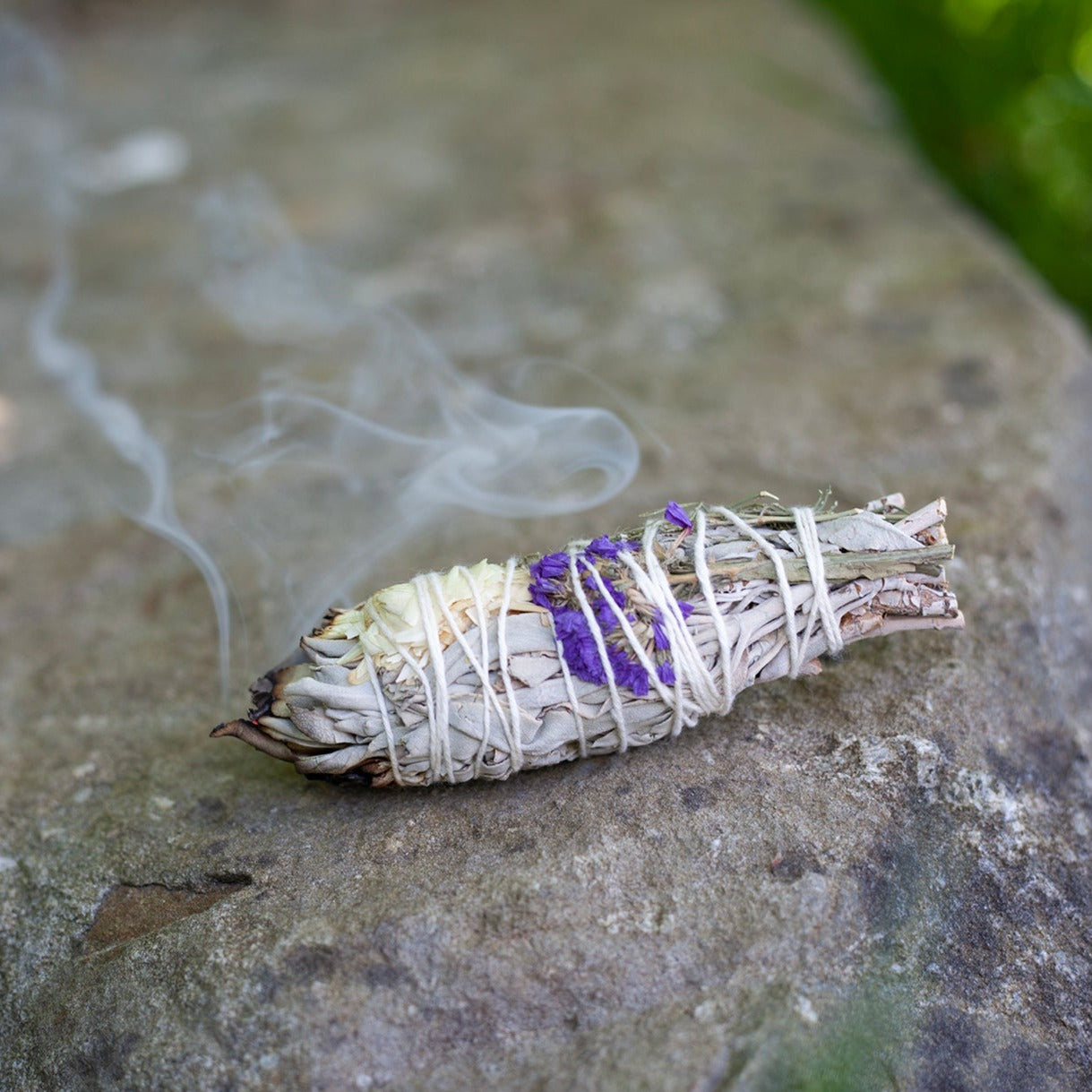 Salvia - Purple Blossom Smudge