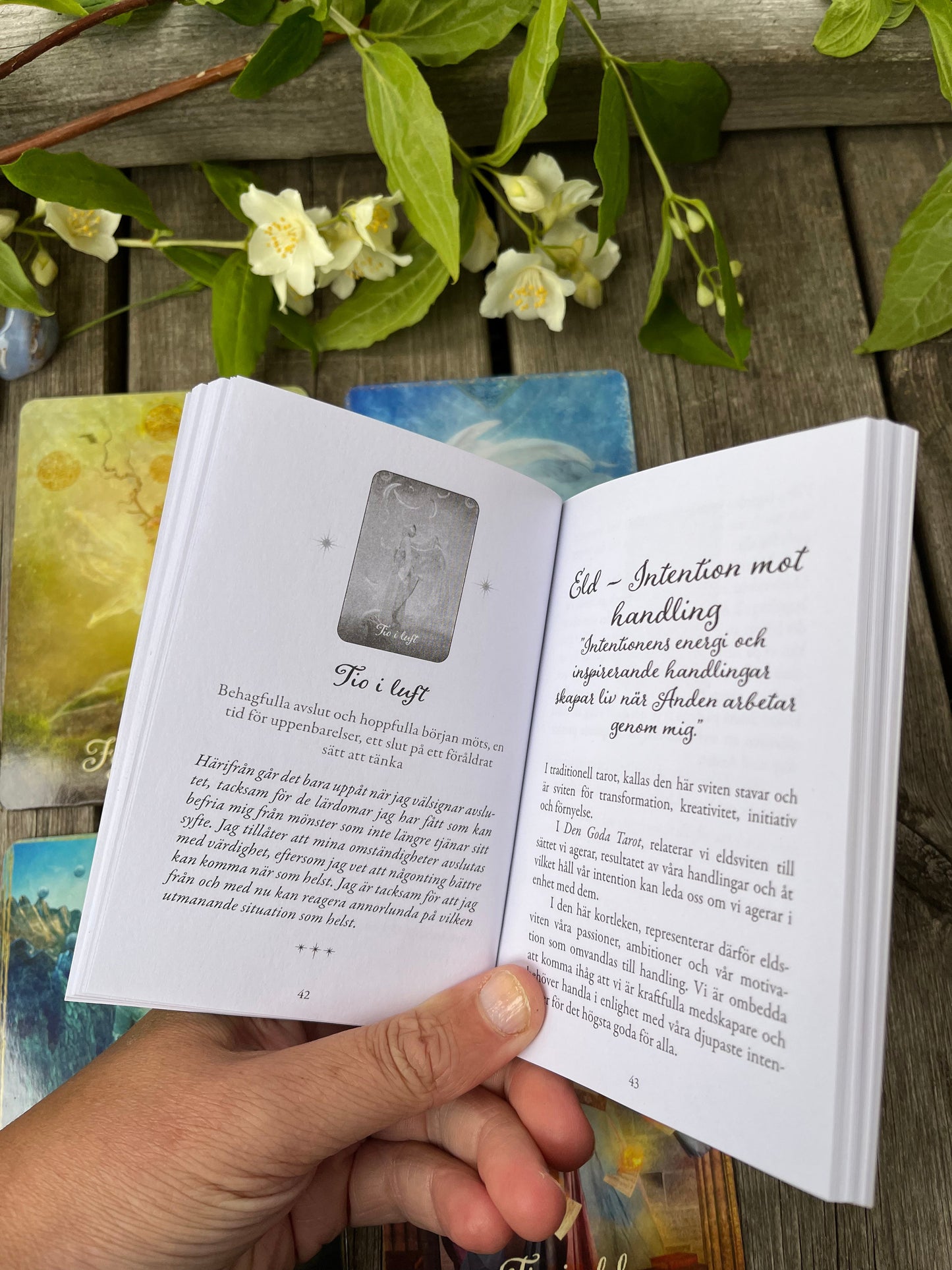 The good tarot - Den goda tarot