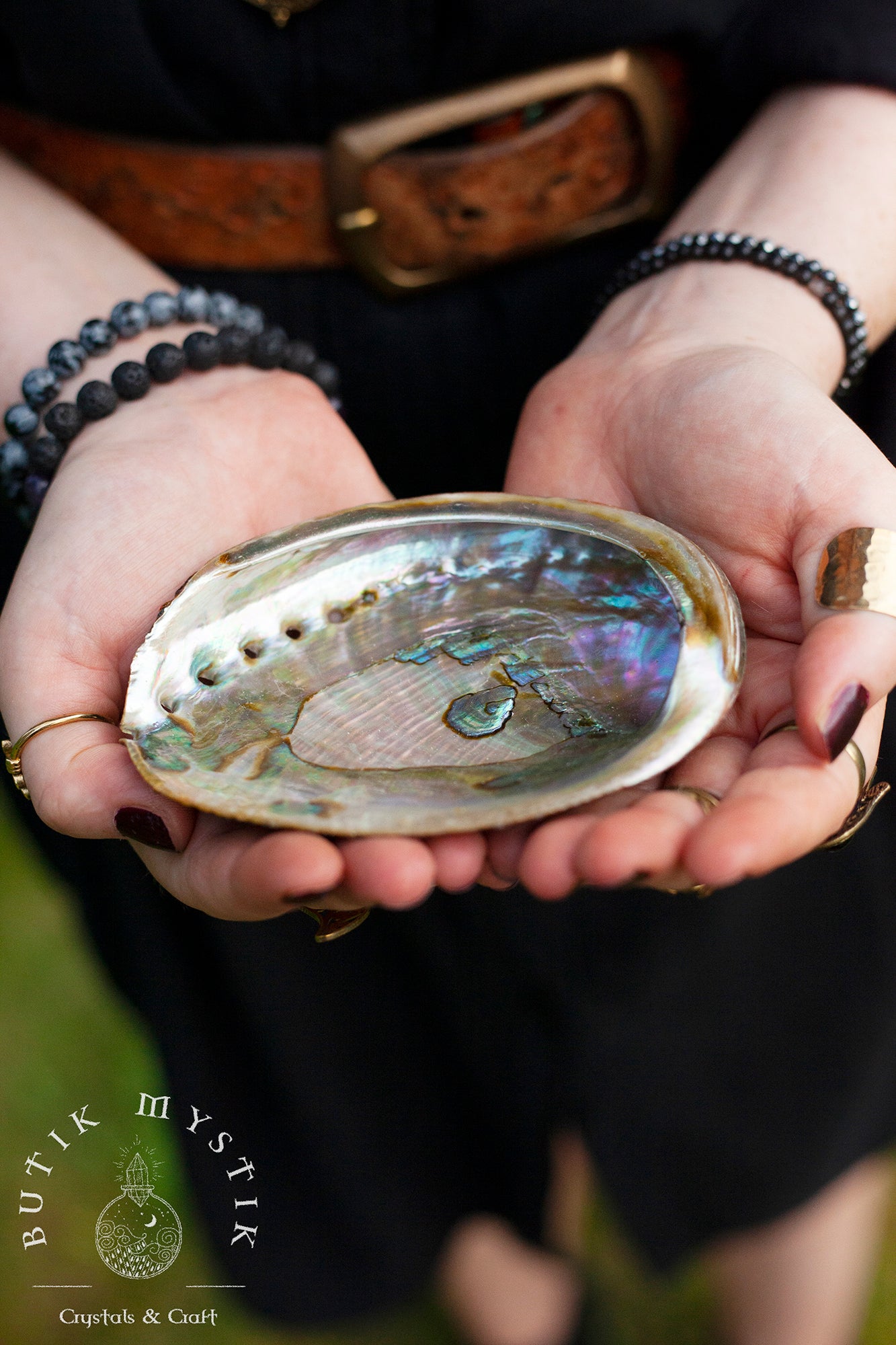 Abalone Snäcka Grön - Liten
