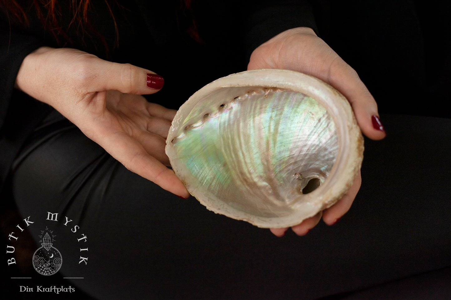 Abalone Snäcka Vit - Liten