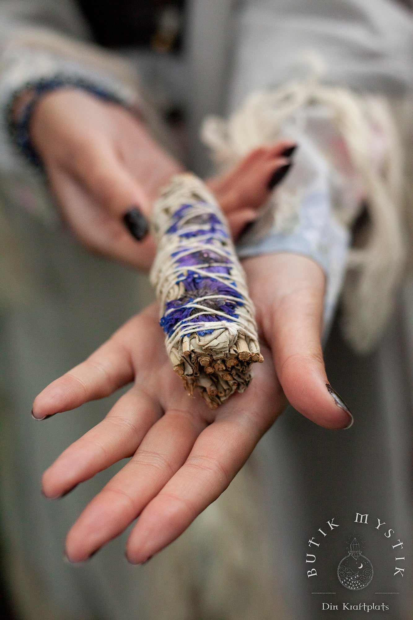 Salvia - Purpur Daze Smudge