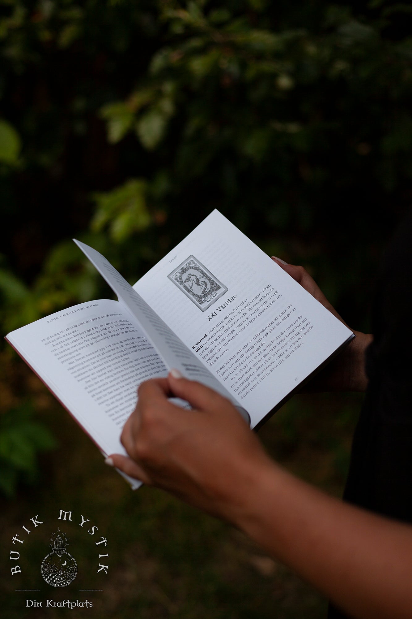 Tarot - Lär dig att tolka korten - Kim Arnold - Svensk bok