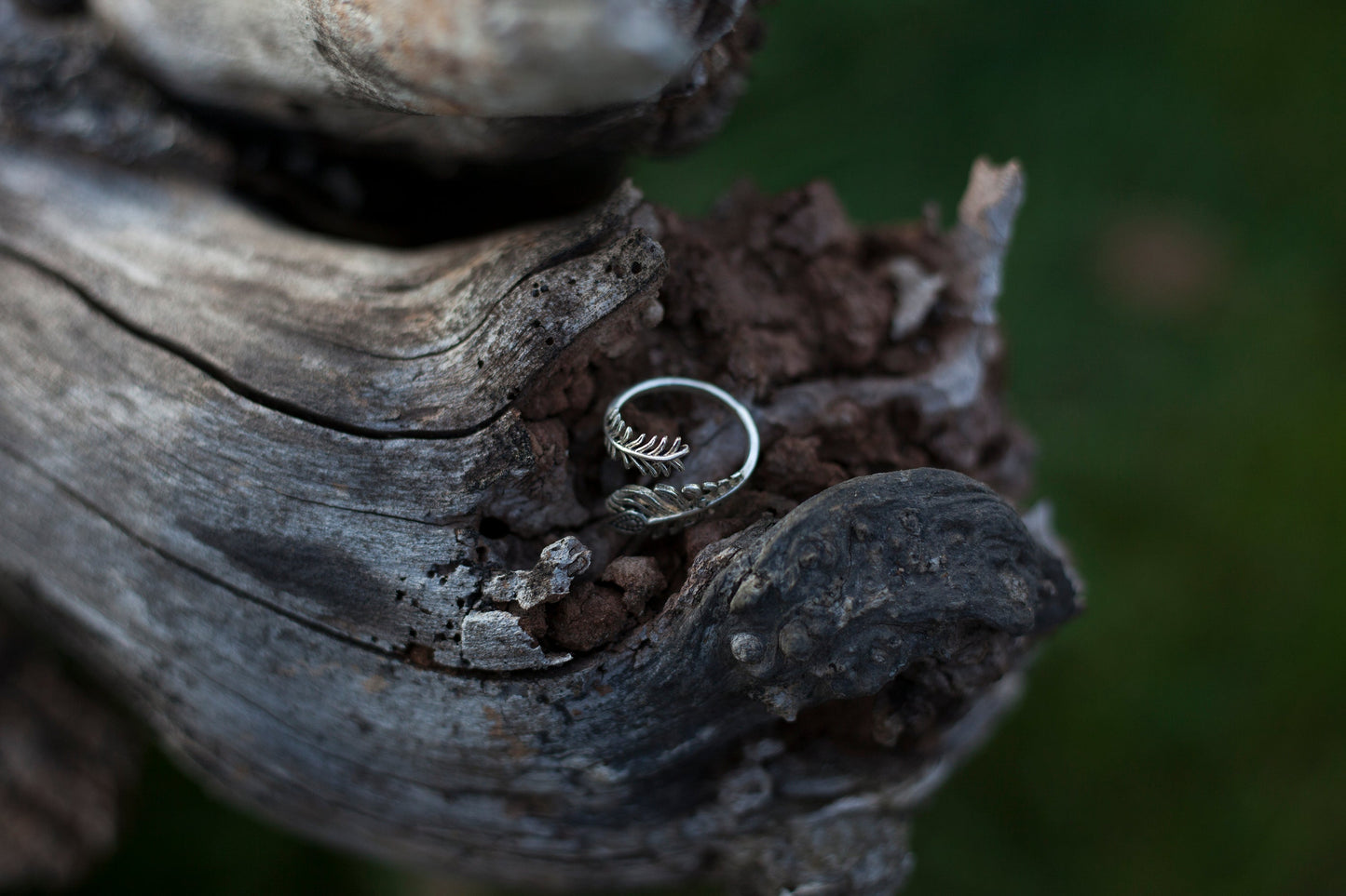 Ring i silver - Påfågel fjäder