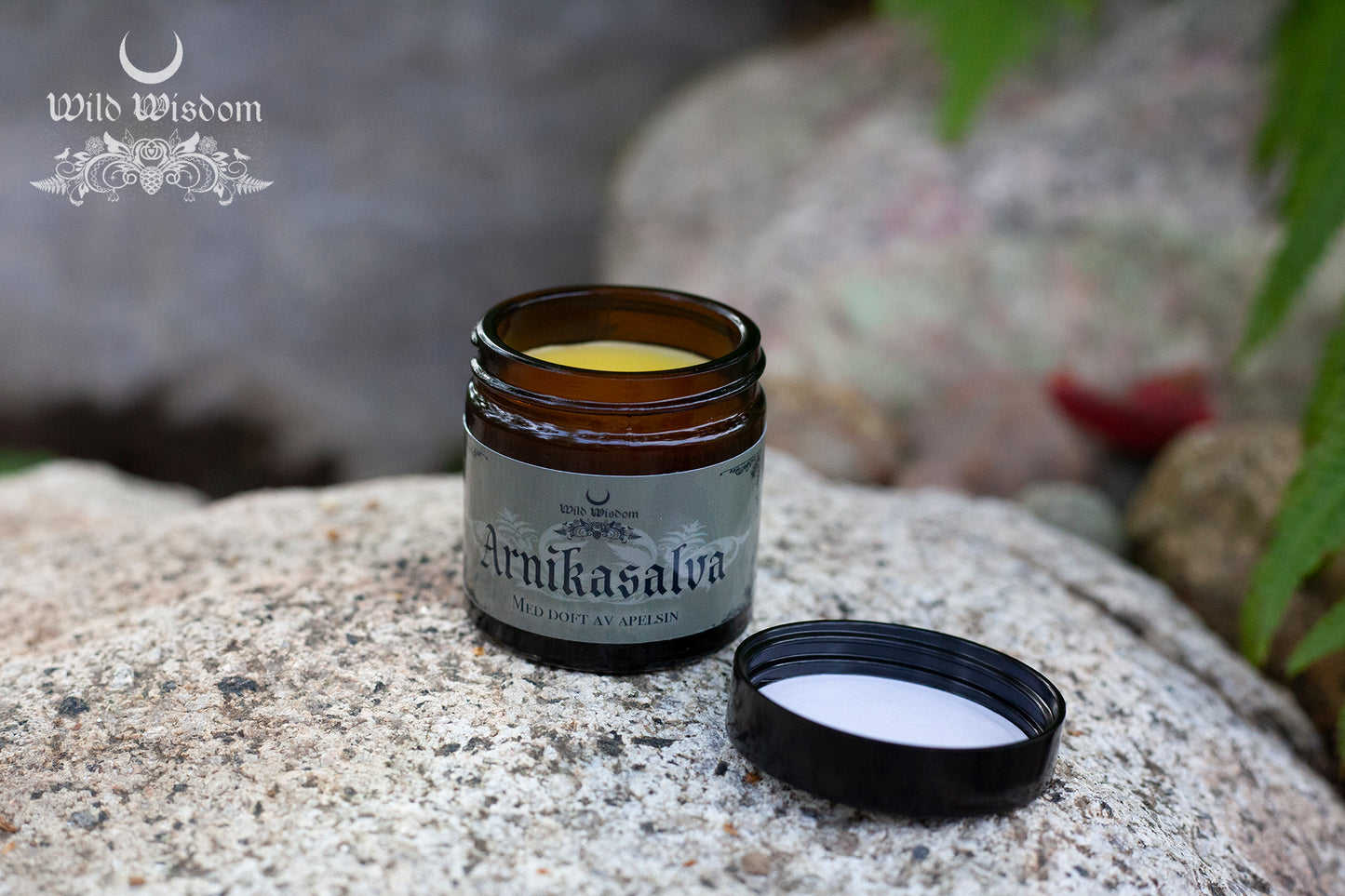 Arnikasalva - Wild Wisdom - Ekologisk