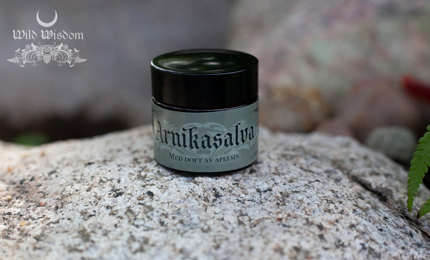 Arnikasalva - Wild Wisdom - Ekologisk