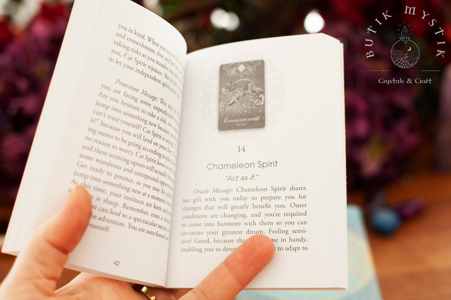 The Spirit Animal Oracle cards