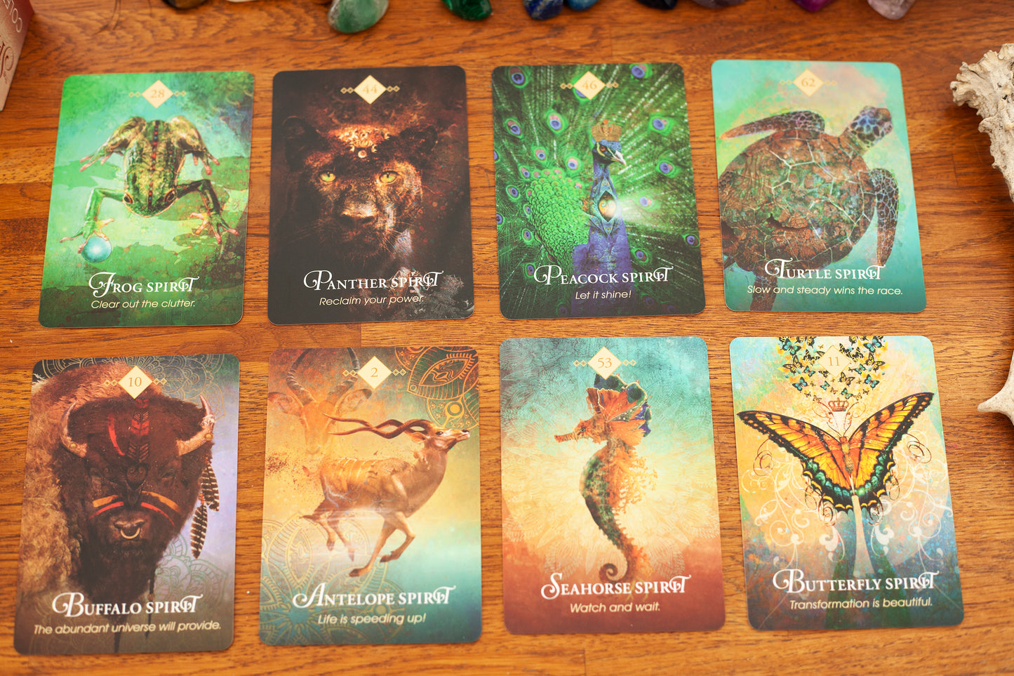 The Spirit Animal Oracle cards
