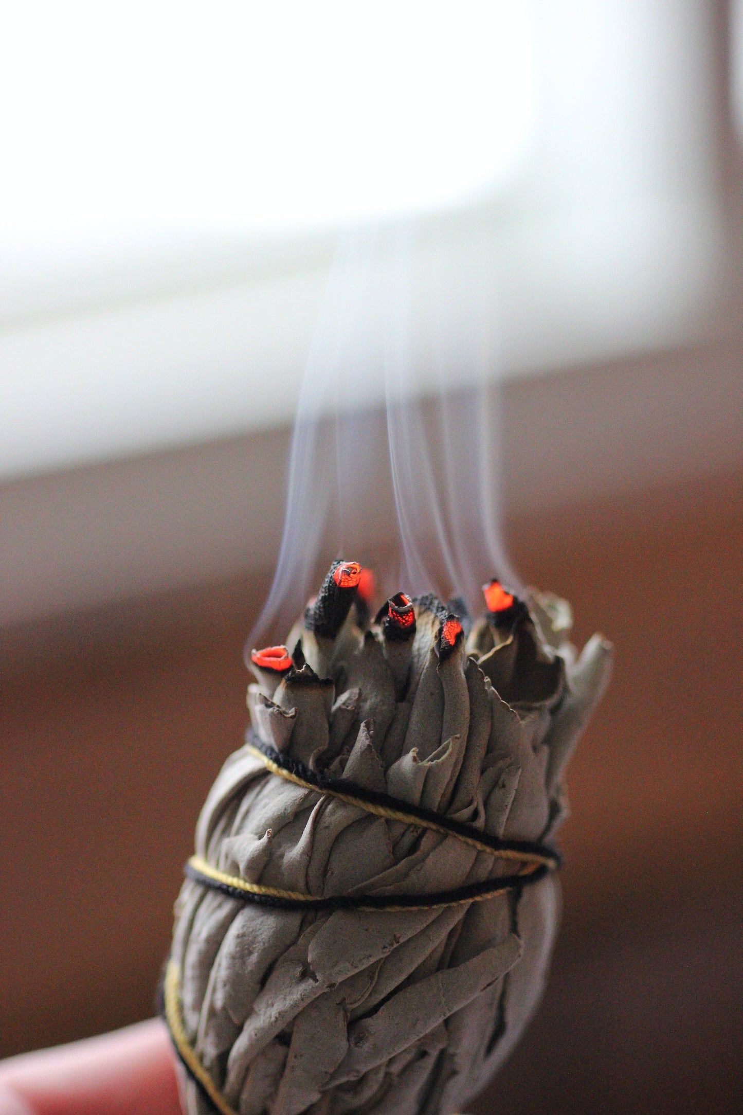 Salvia -  Chakra Smudge
