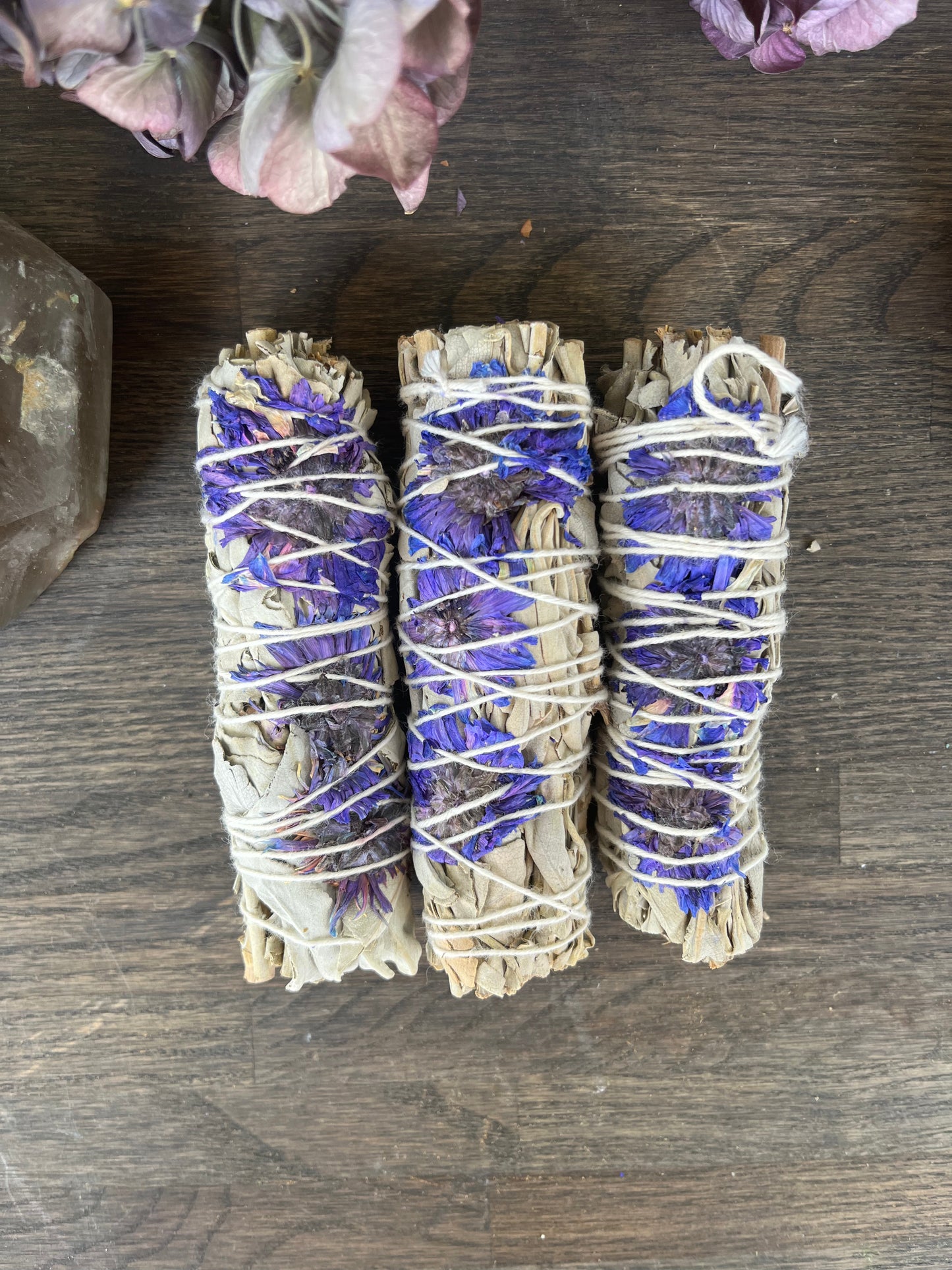 Salvia - Purpur Daze Smudge