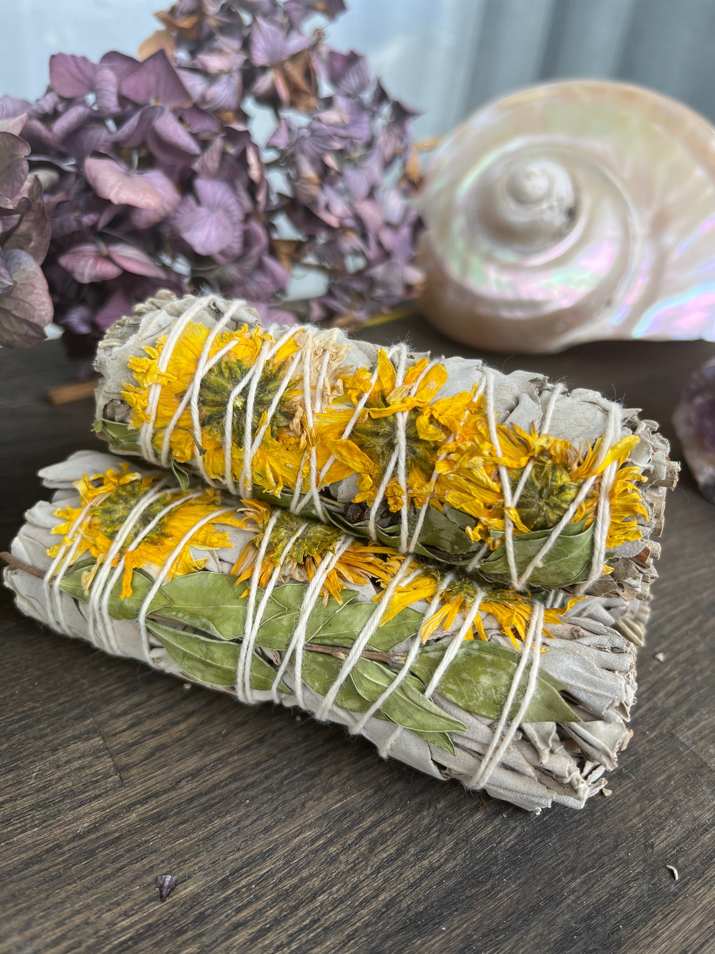 Salvia - Sunflower Smudge