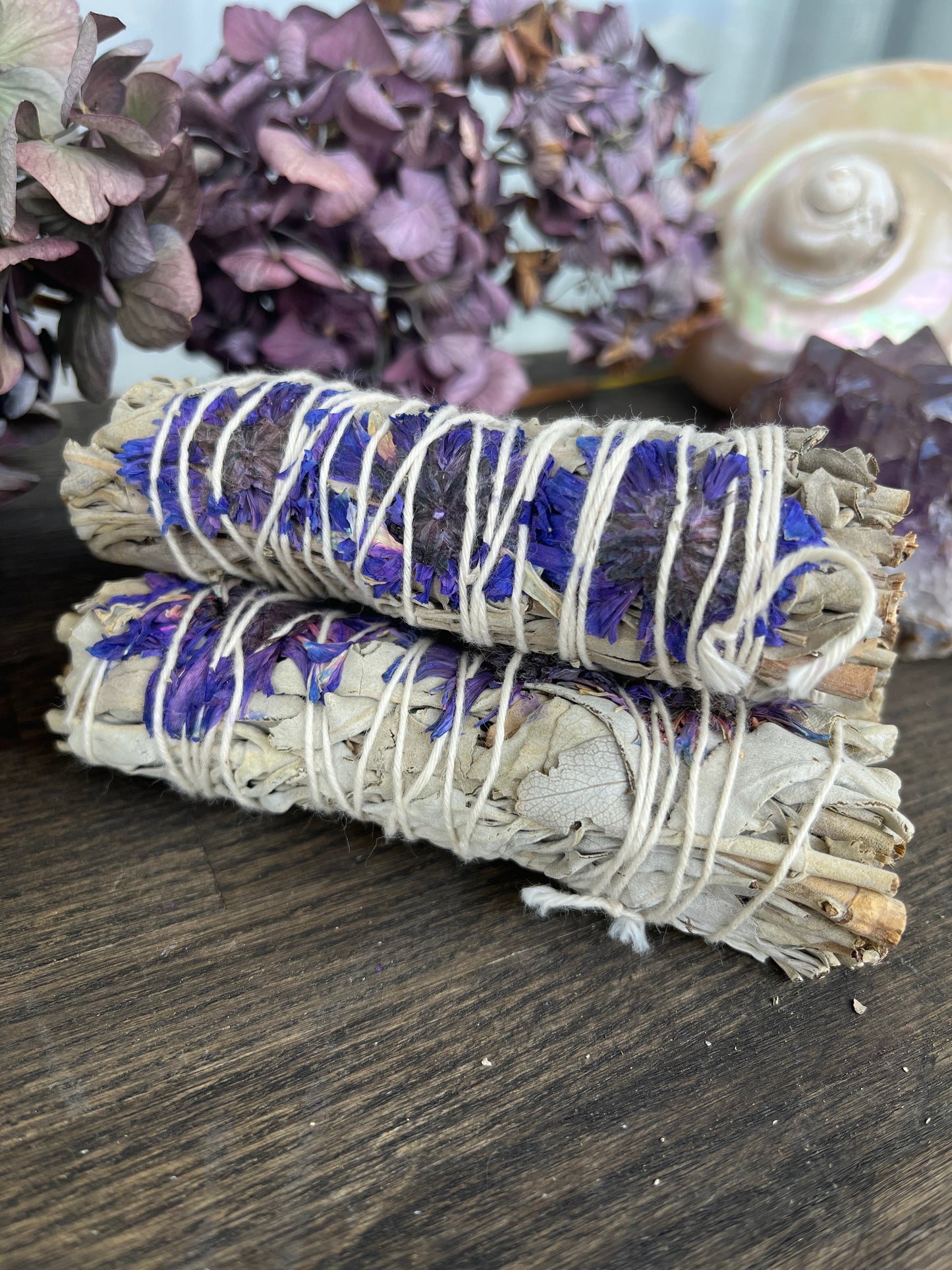 Salvia - Purpur Daze Smudge