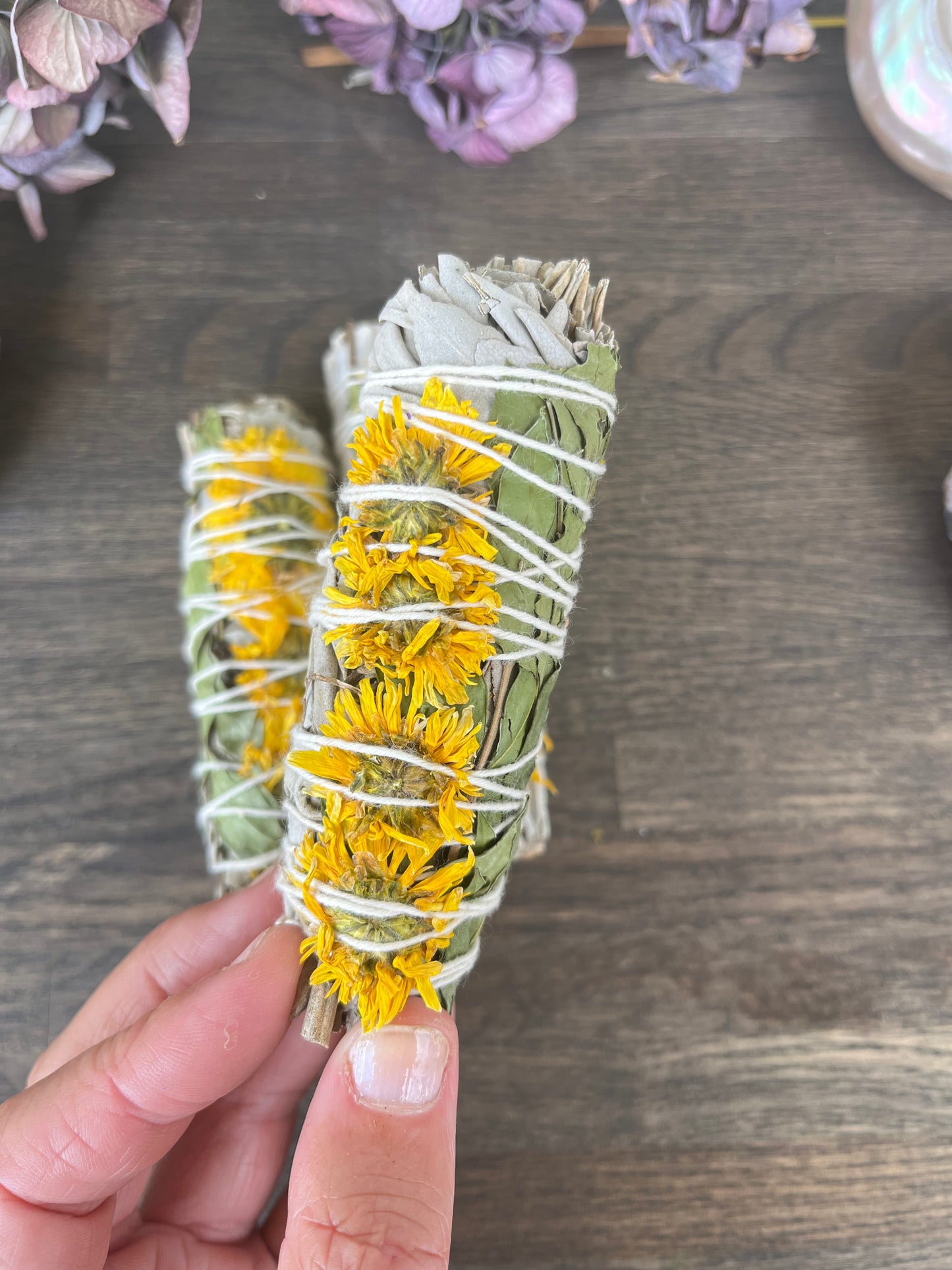 Salvia - Sunflower Smudge