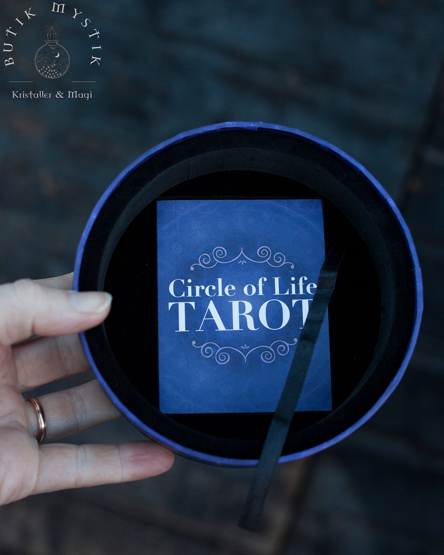 Circle Of Life - Tarotkort