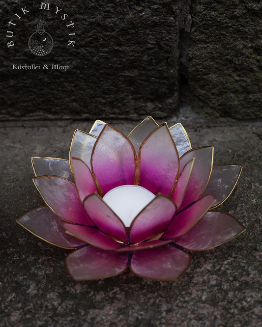 Lotus ljuslykta - Rosa