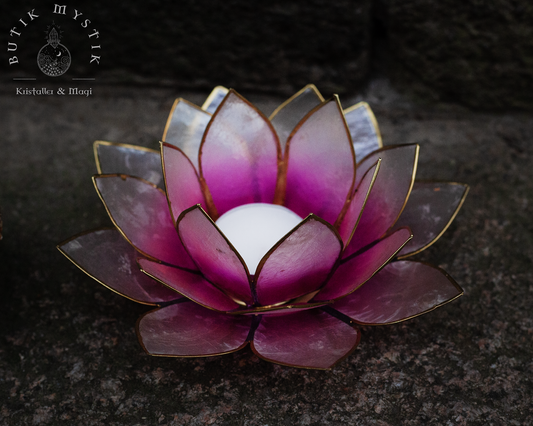 Lotus ljuslykta - Rosa