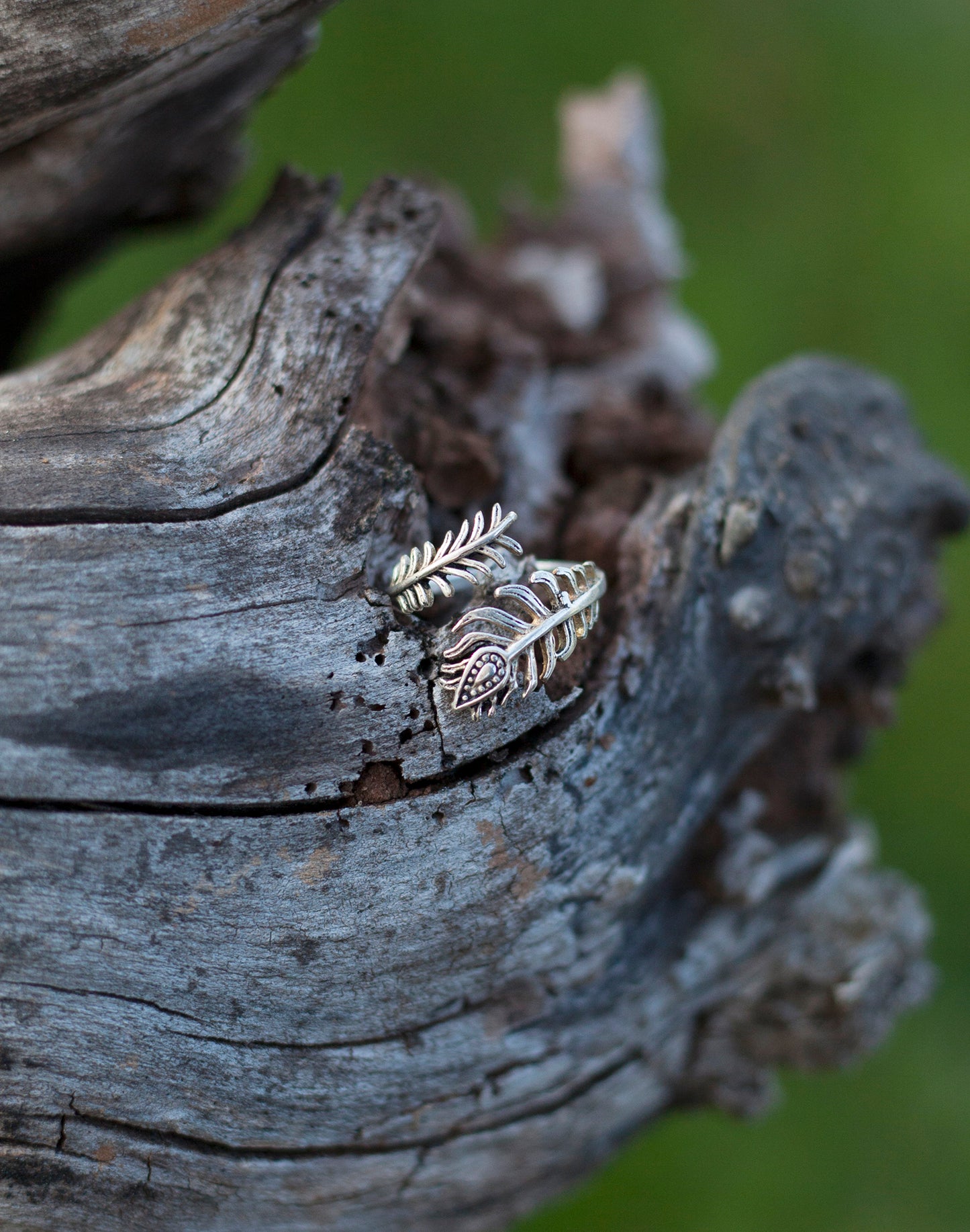 Ring i silver - Påfågel fjäder