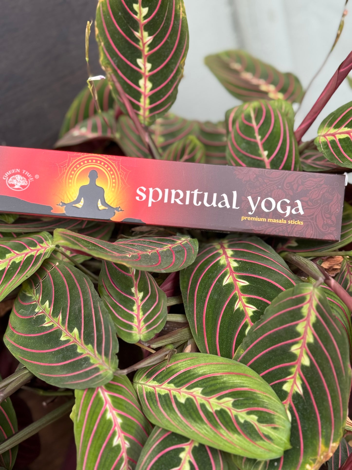 Green Tree rökelse - Spiritual Yoga
