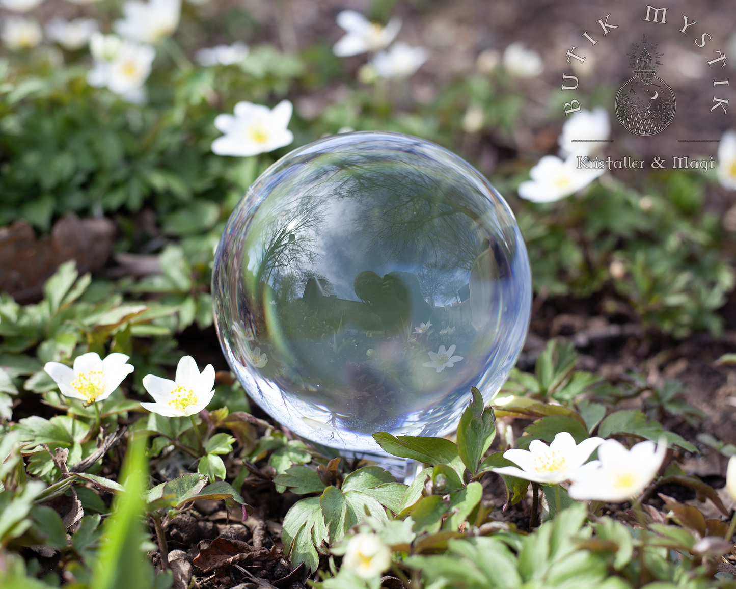 Kristallkula i glas