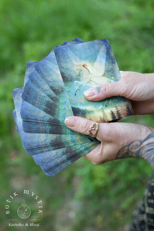 The Sacred forest oracle cards