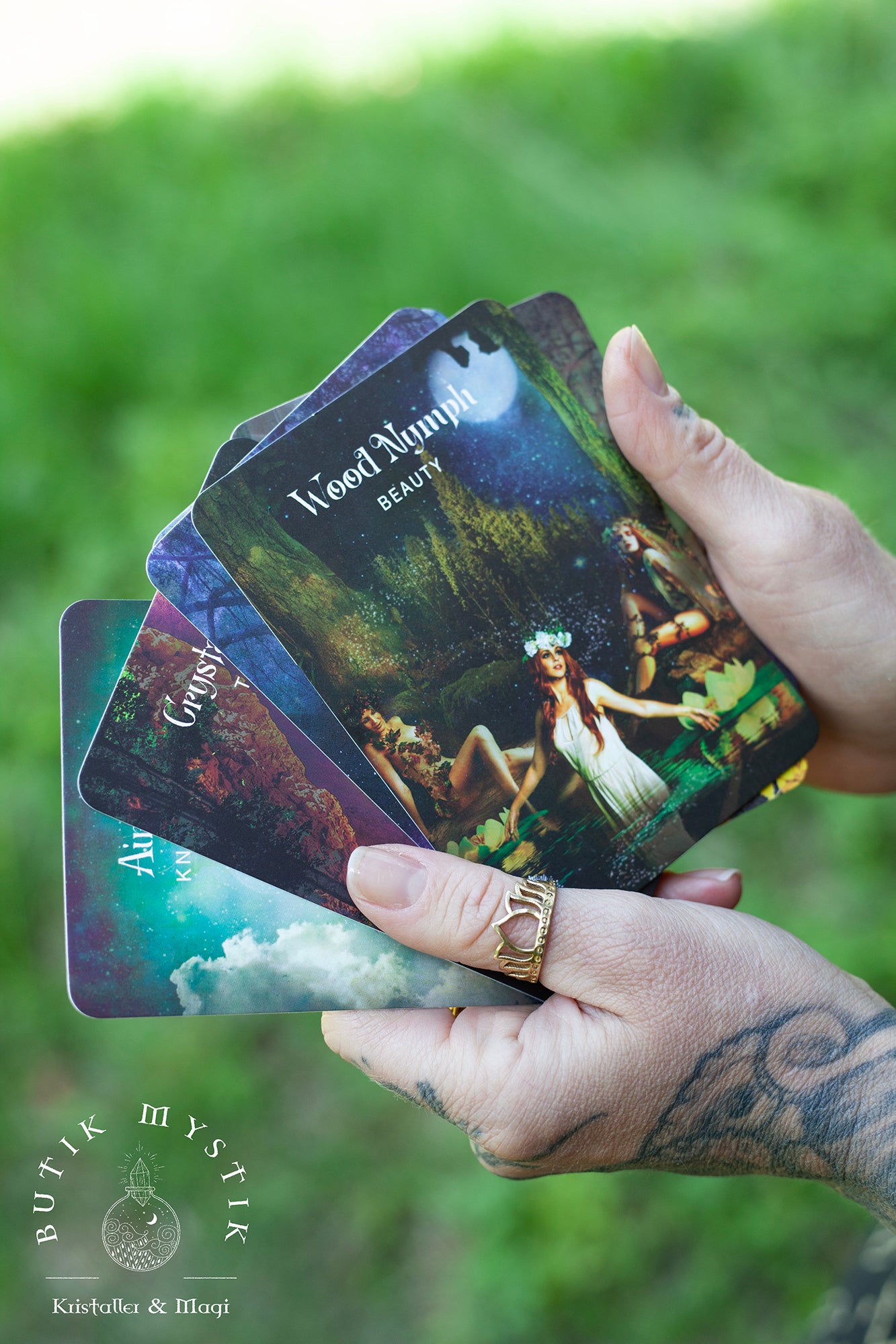 The Sacred forest oracle cards