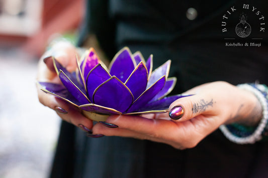 Lotus ljuslykta - lila