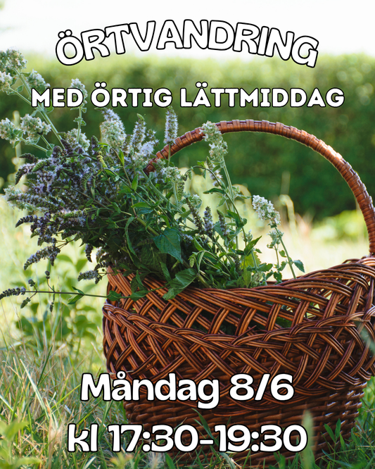 Örtvandring med örtig lättmiddag 8 Juni 2026