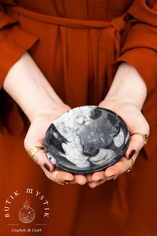 Ortoceratit Fossil skål