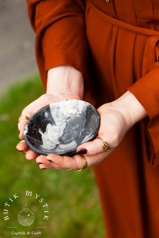 Ortoceratit Fossil skål