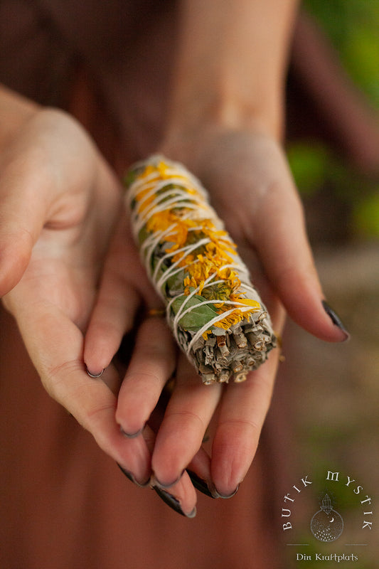 Salvia - Sunflower Smudge