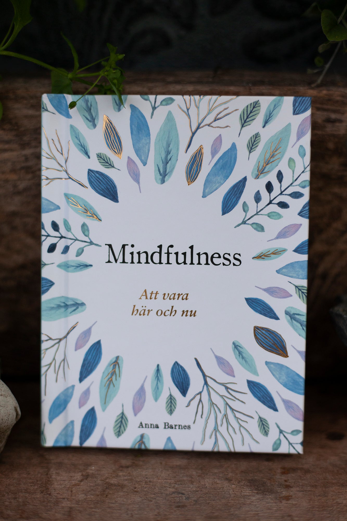 Mindfulness: att vara här och nu - presentbok