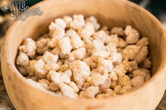 Frankincense (Olibanum) - Kåda för rökelse