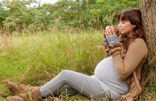 Pregnant with passion - Ekologiskt örtté för gravida eller ammande kvinnor